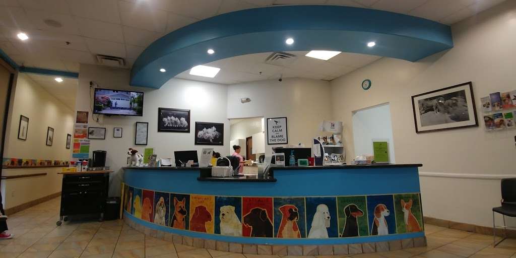 Lakewood Pet Vet | 6405 Del Amo Blvd, Lakewood, CA 90713 | Phone: (562) 925-2300