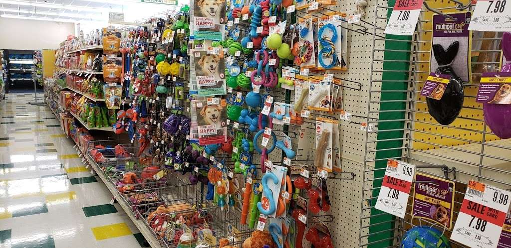 Pet Supplies Plus | 771 Gap Newport Pike, Avondale, PA 19311, USA | Phone: (610) 268-2424