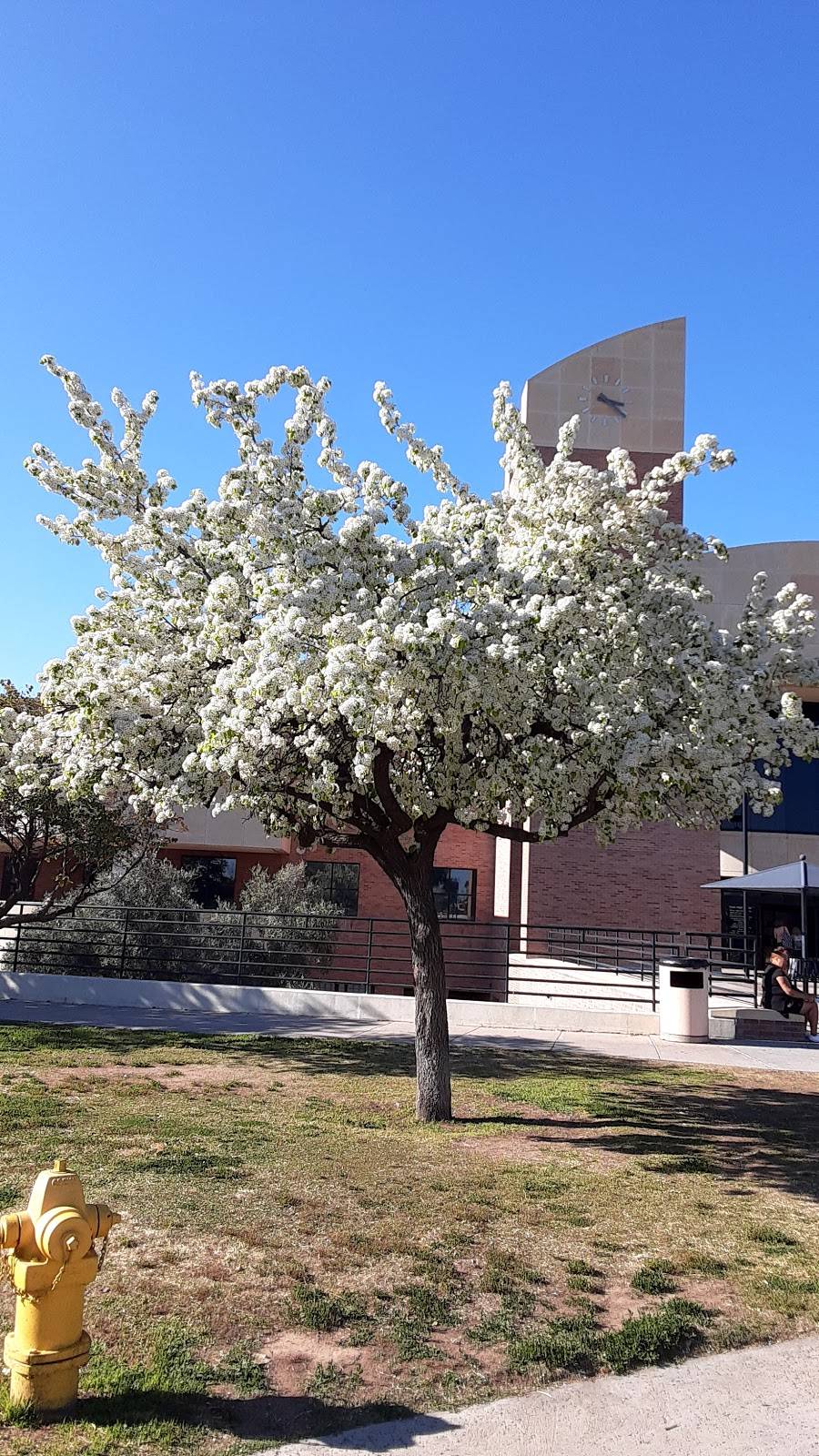 Tempe Public Library | 3500 S Rural Rd, Tempe, AZ 85282, USA | Phone: (480) 350-5500