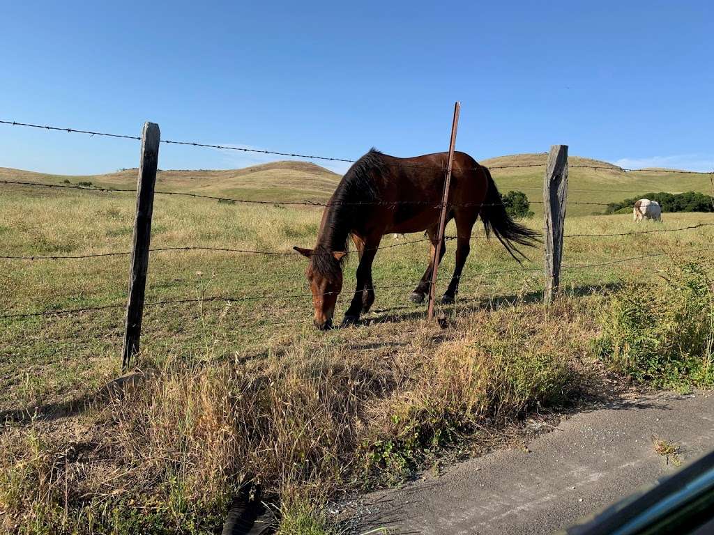 Sierra Vista Point | Sierra Vista Trail, San Jose, CA 95127, USA