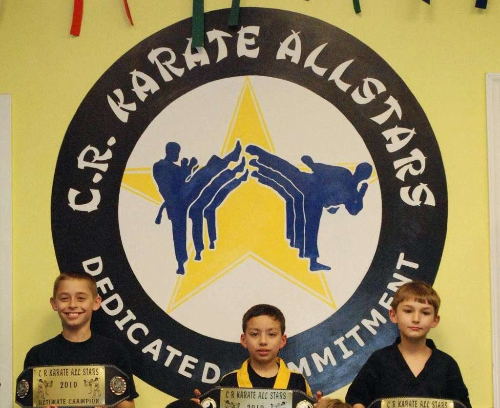 C R Karate All Stars | 13713 Providence Rd, Matthews, NC 28104 | Phone: (704) 560-6469