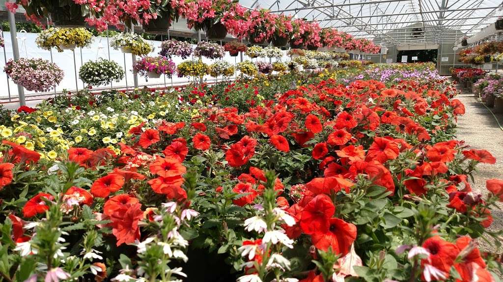 Burr Oaks Greenhouse & Gift | 1275 100th Ave, Kenosha, WI 53144, USA | Phone: (262) 859-2610