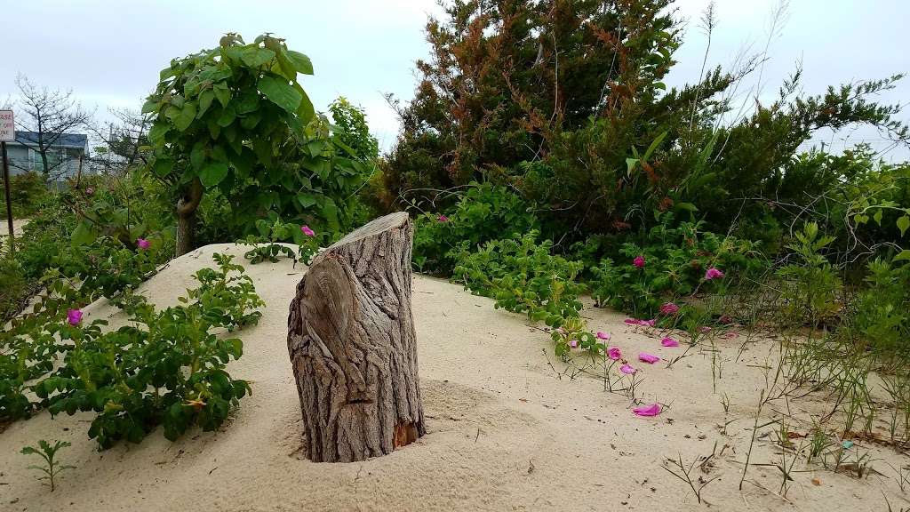 Soundside Beach Park | Soundside Beach Park, Bayville, NY 11709, USA