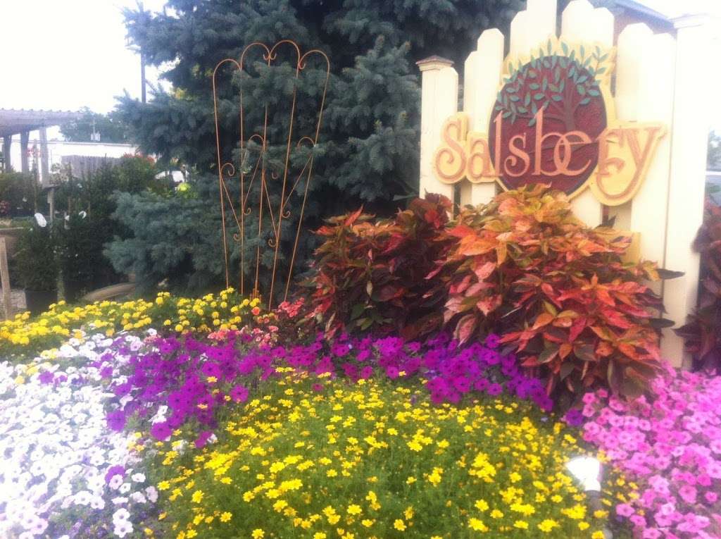 Salsbery Garden Center | 6346 W Broadway, McCordsville, IN 46055 | Phone: (317) 335-5550