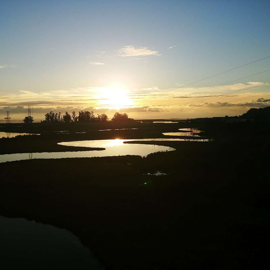 Pacheco Pond | 600-748 Bel Marin Keys Blvd, Novato, CA 94949, USA