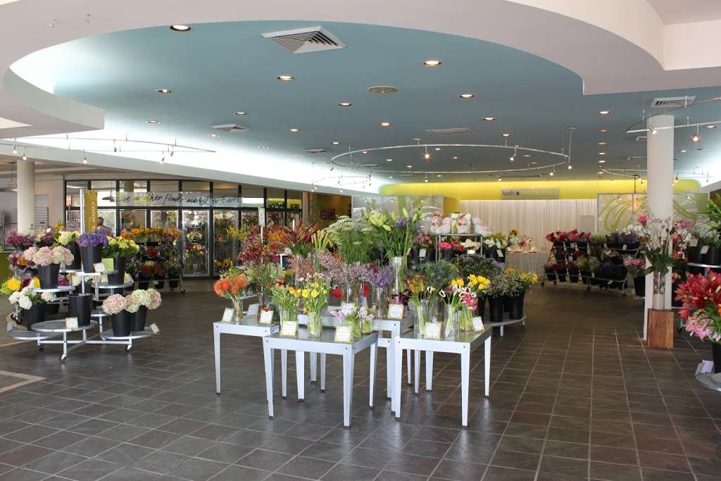 Lush Celebrations | Inside Field Of Flowers, 5101 S University Dr, Davie, FL 33328, USA | Phone: (800) 963-7374