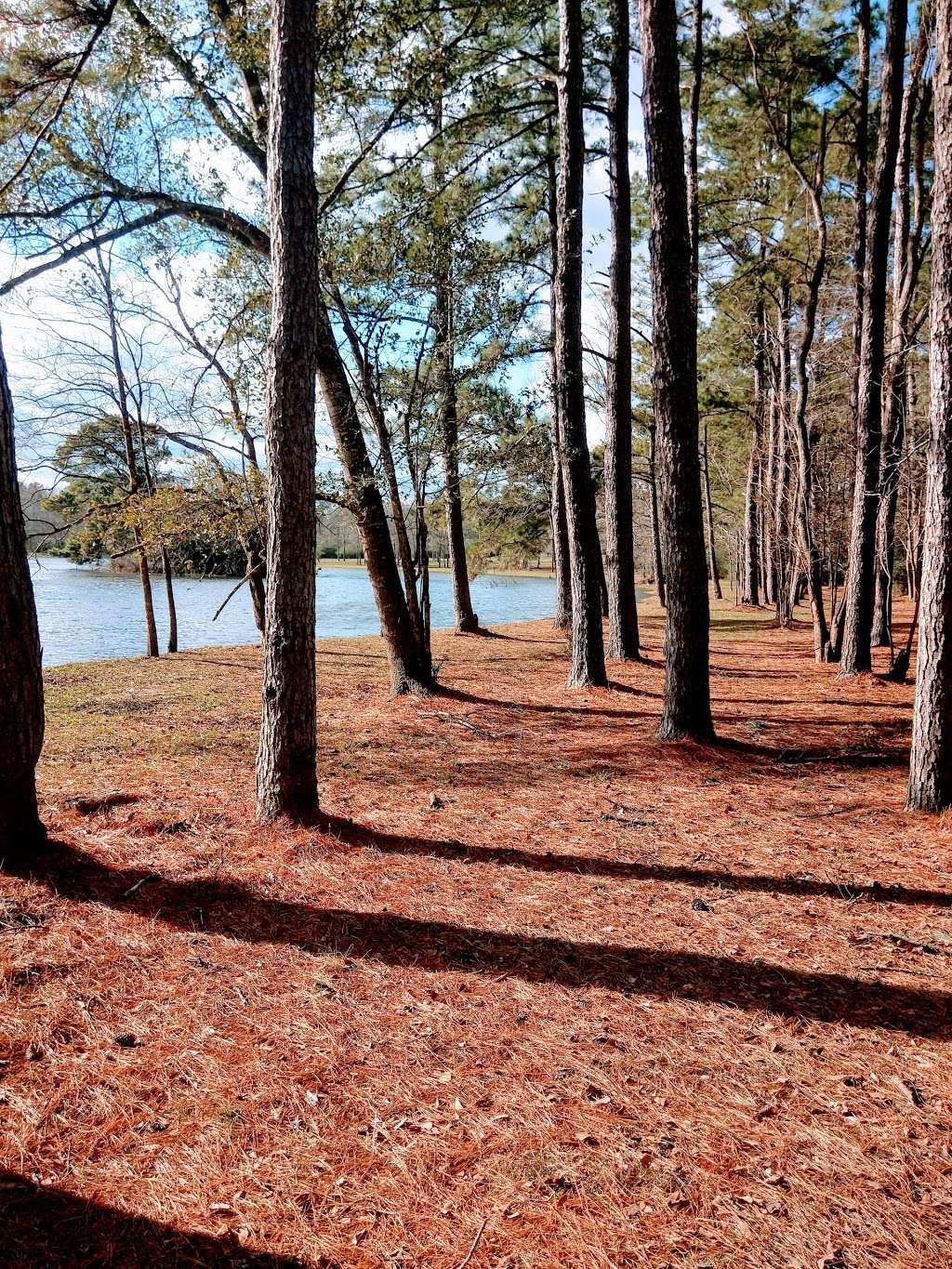 Spring Trails Lake | 28406 Ashlyn Ridge Ln, Spring, TX 77386, USA