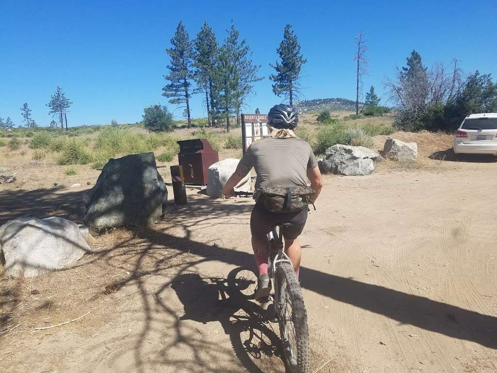 Rosenita Saddle Trailhead | Forest Service Rd 3N17, Pearblossom, CA 93553