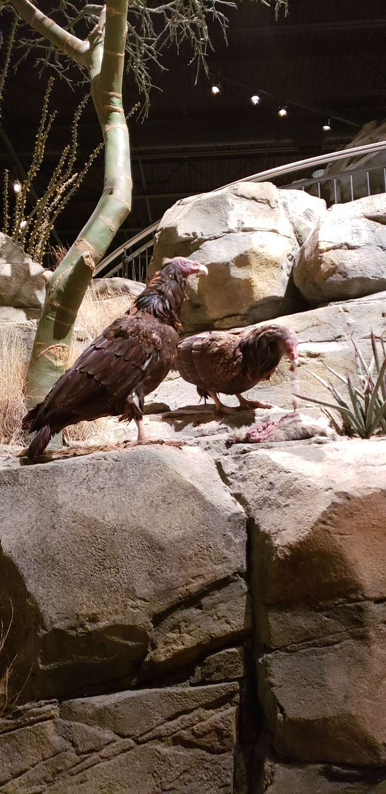 The Wildlife Experience | 10035 S Peoria St, Parker, CO 80134, USA | Phone: (720) 488-3300