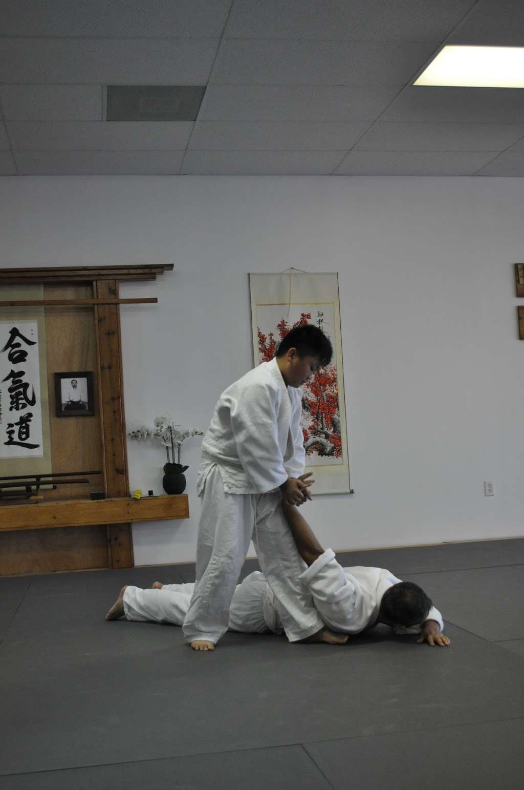 Wadokan Aikido Dojo | 8650 N Beltway 8 E, Suite 140, Humble, TX 77396 | Phone: (281) 241-1018