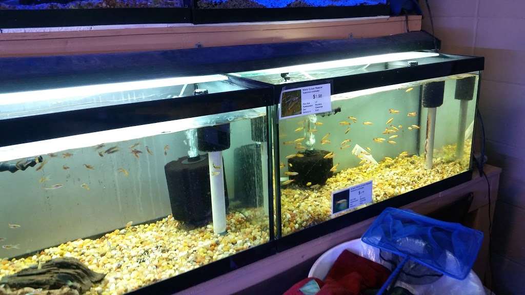 C K Fish World | 410 N Azusa Ave, West Covina, CA 91791 | Phone: (626) 967-7020