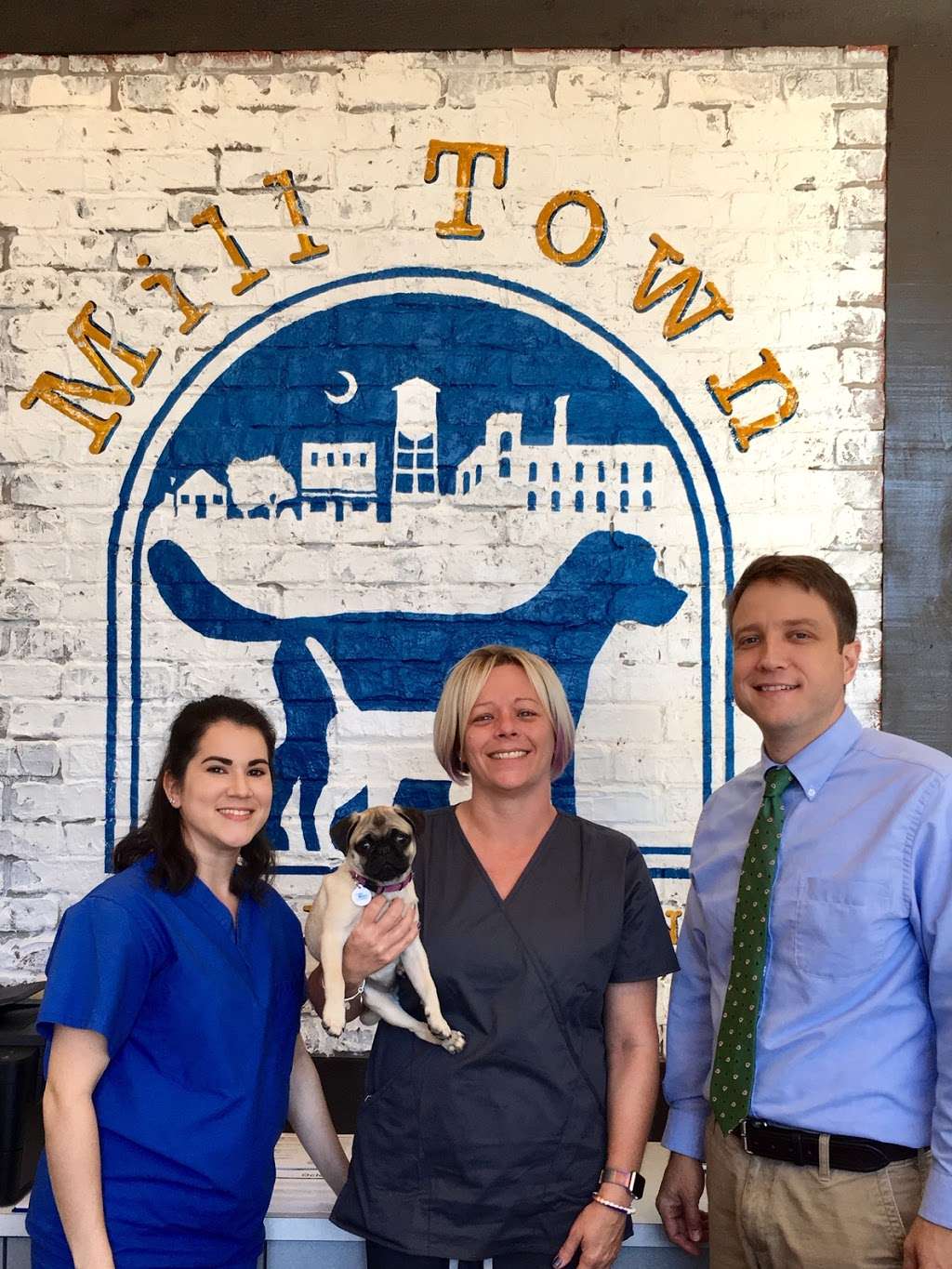 Mill Town Veterinary Clinic | 488 Mercantile Pl Suite 104, Fort Mill, SC 29715, USA | Phone: (803) 548-7387