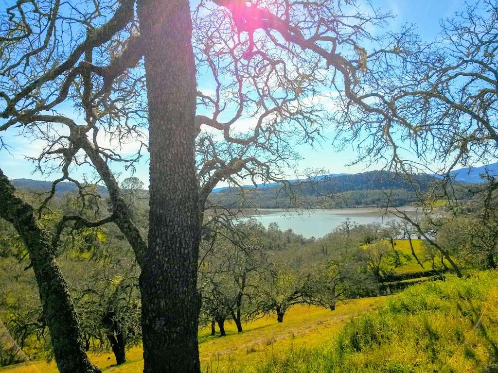 Napa County Regional Park District - Lake Hennessey City Recreat | St Helena, CA 94574, USA