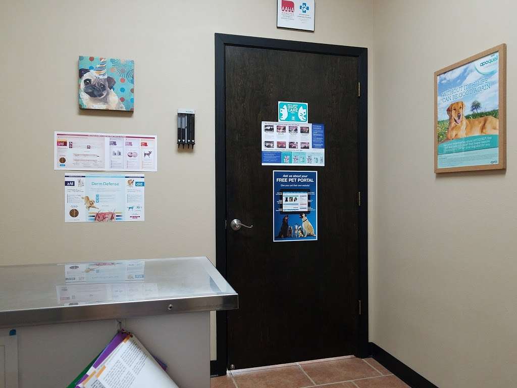 Animal House Veterinary Hospital | 2640 E League City Pkwy #130, League City, TX 77573, USA | Phone: (281) 334-3743