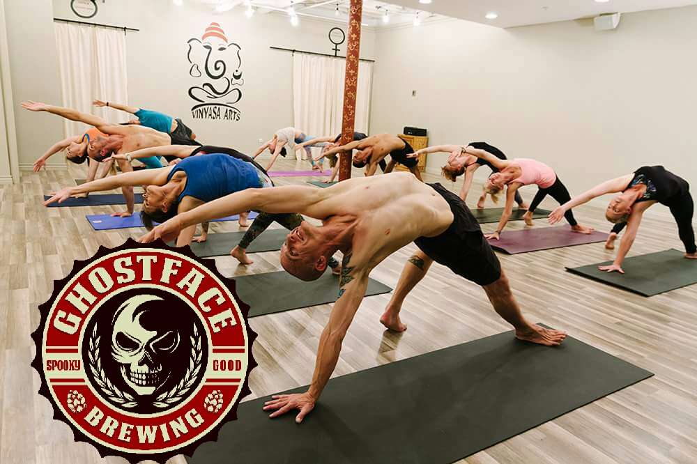 Vinyasa Arts LKN Yoga Studio | 138 Village View Dr #101, Mooresville, NC 28117, USA | Phone: (760) 707-7411