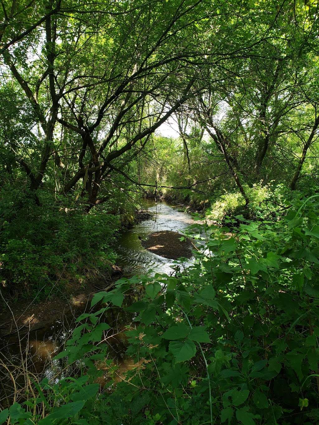 Tuttle Clarkson Natural Area | 100-114 E Grove St, Poplar Grove, IL 61065, USA