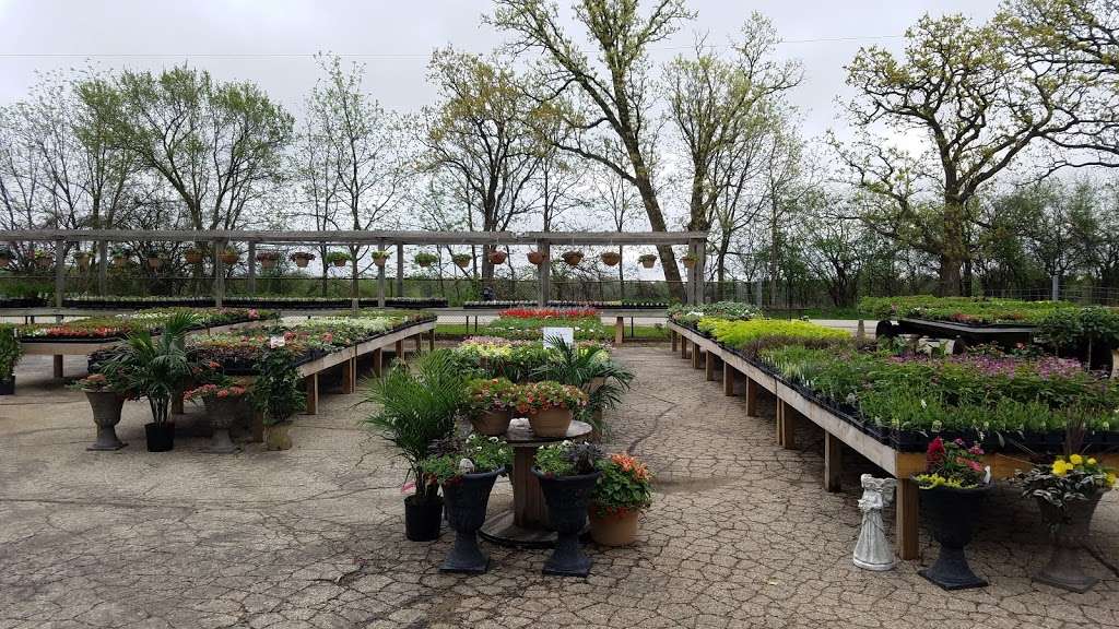 Busy Bs Garden Center | W7449 Co Rd X, Delavan, WI 53115, USA | Phone: (262) 749-3030