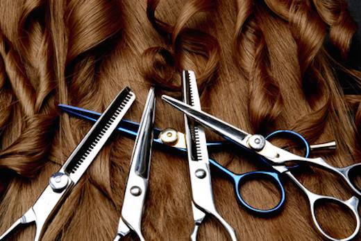 Shears Etc | 1150 Millerville Rd, Baton Rouge, LA 70816 | Phone: (225) 275-0283