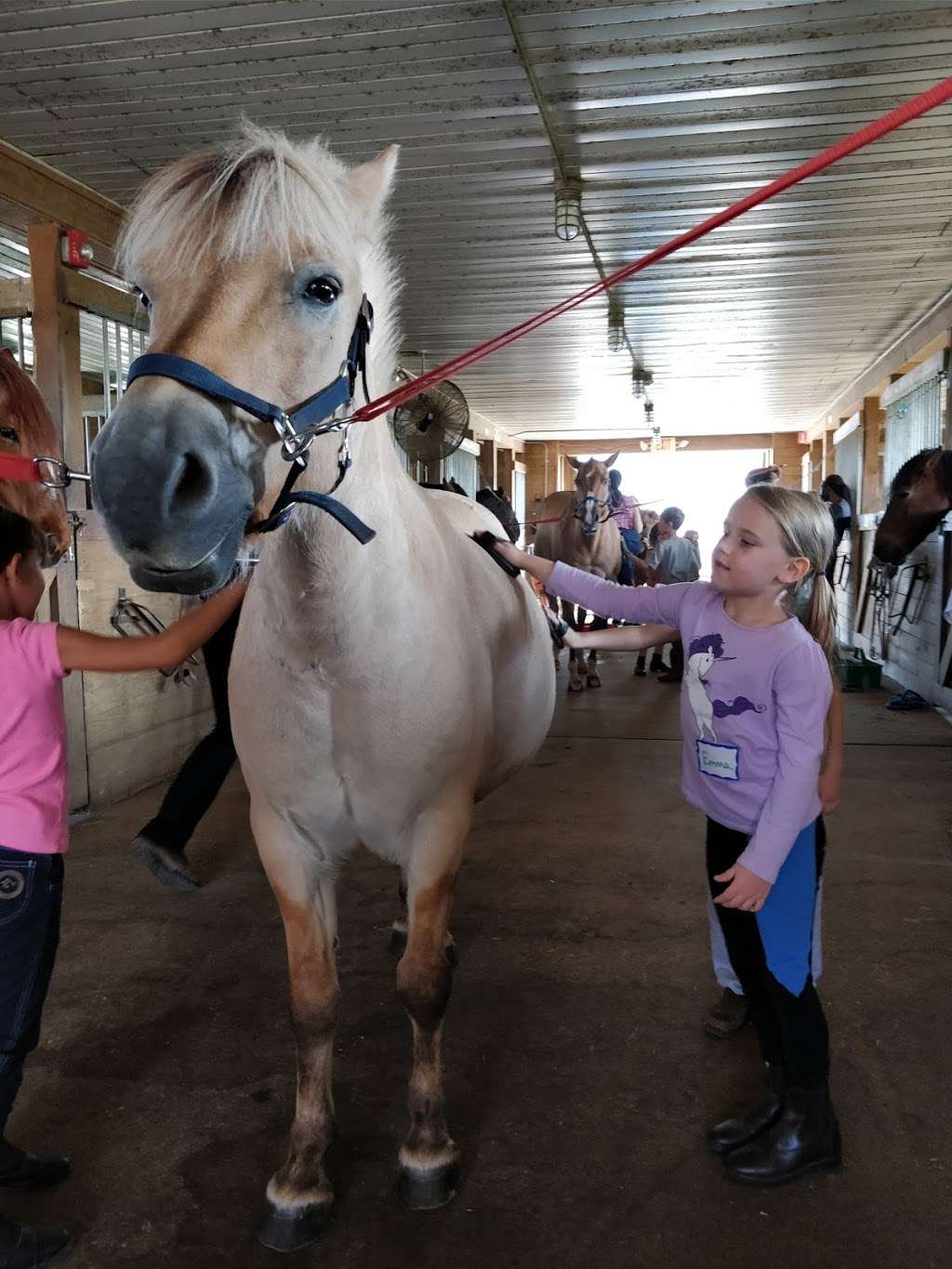 Mercer Meadows Equestrian Center | 431 Federal City Rd # B, Pennington, NJ 08534 | Phone: (609) 730-9059