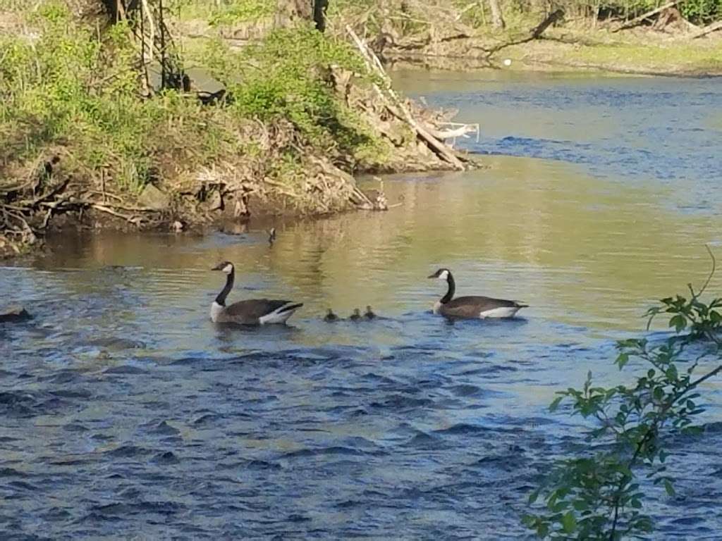 South Branch Reservation | 528 State Rte 31, Flemington, NJ 08822, USA