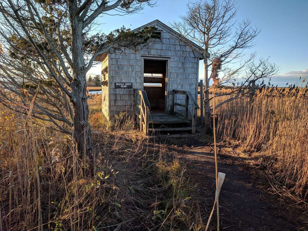 Spizzle Creek Bird Blind | Spizzle Creek Bird Blind Trail, Lanoka Harbor, NJ 08734 | Phone: (732) 830-1835