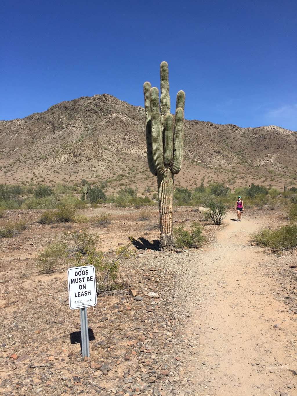 Pyramid Trailhead Parking Lot | 15200-15498 S 19th Ave, Phoenix, AZ 85045, USA