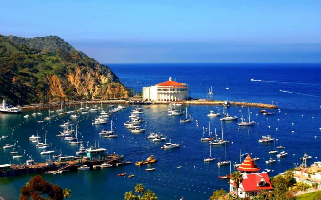 Tour Catalina | 400 Pebbly Beach Rd, Avalon, CA 90704 | Phone: (310) 510-0036