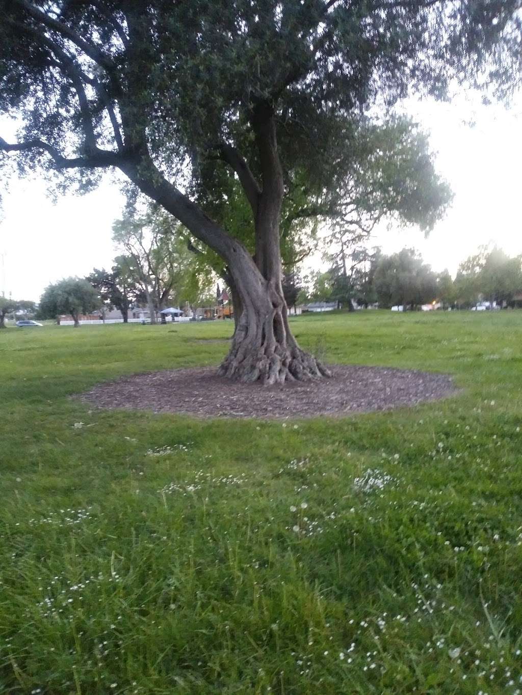 Blacow Park | 40404 Sundale Dr, Fremont, CA 94538, USA | Phone: (510) 494-4300