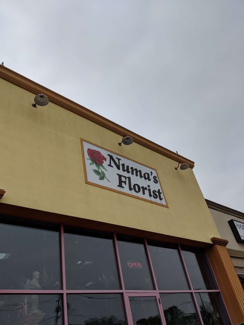 Numas Florist | 1888 Wantagh Ave, Wantagh, NY 11793, USA | Phone: (516) 679-1717