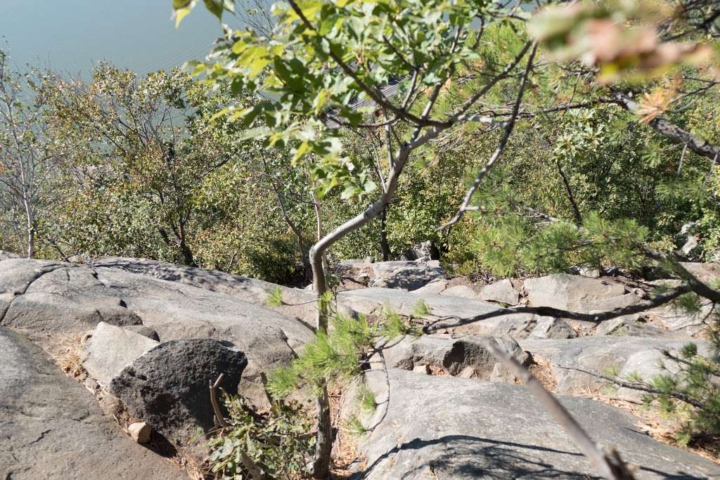 Breakneck Lookout | Cold Spring, NY 10516