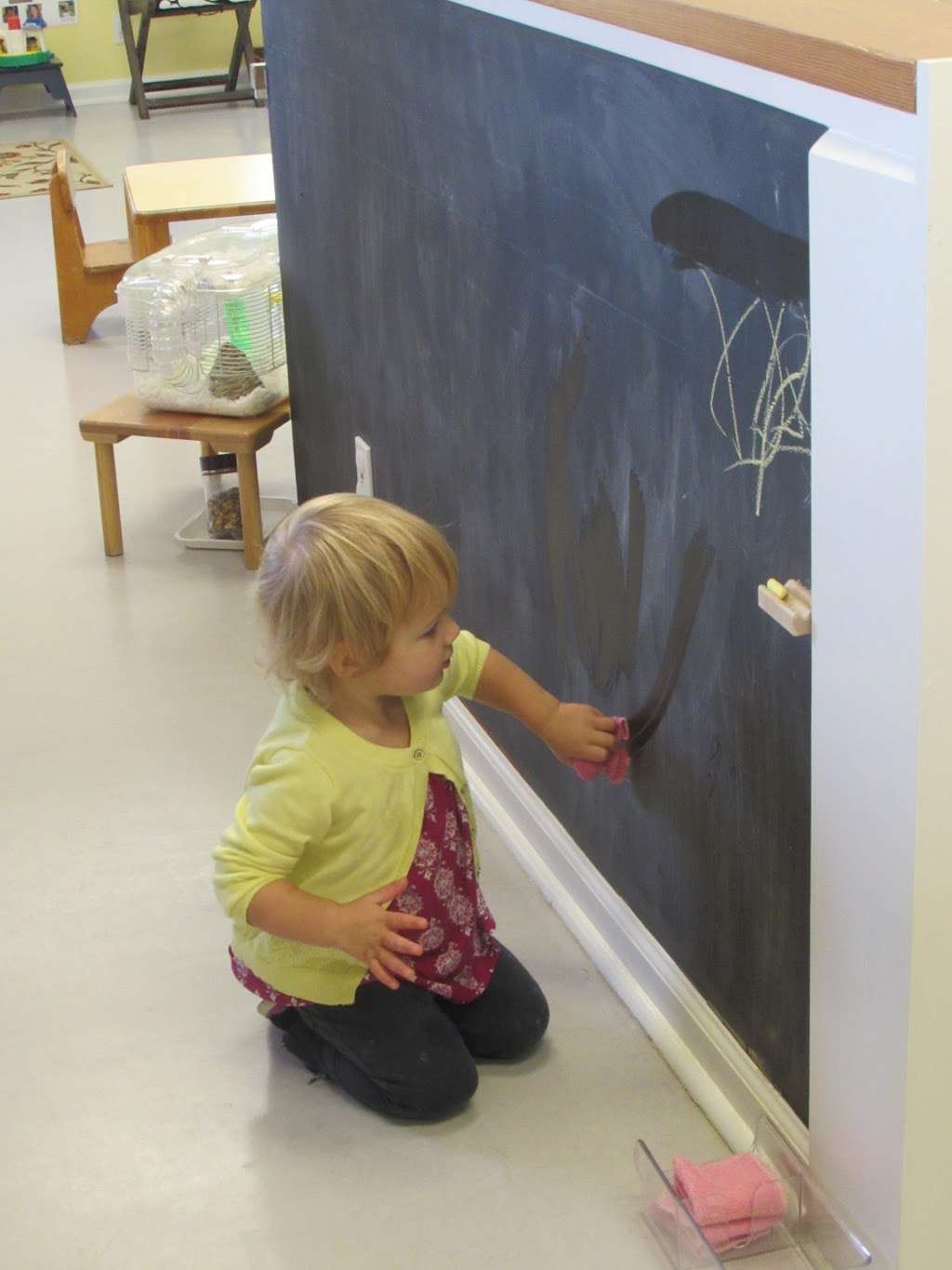 Marin Montessori School | 5200 Paradise Dr, Corte Madera, CA 94925, USA | Phone: (415) 924-5388