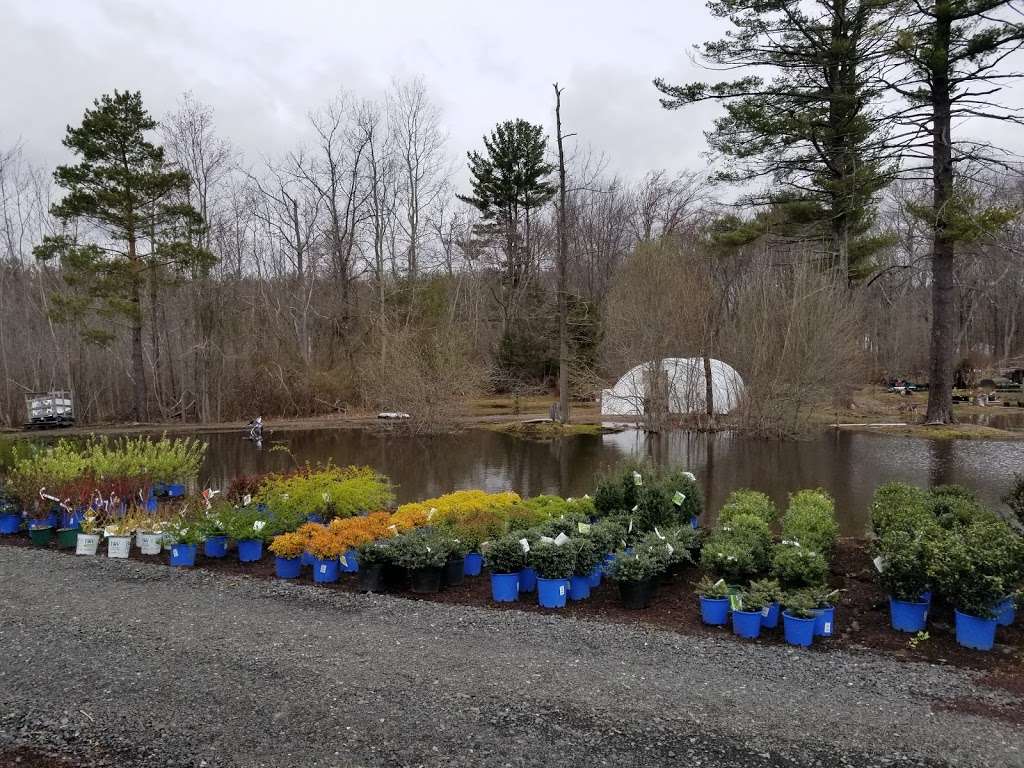 Wolf Hill Garden Center | 88 Elm St, Salisbury, MA 01952 | Phone: (978) 465-3542