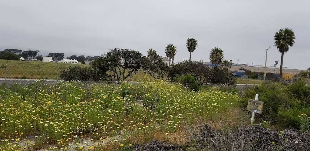 Ventura Harbor Ecological Reserve | 1400 Angler Ct, Ventura, CA 93001, USA