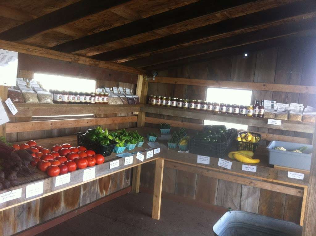 Bountiful Blessings Farm Produce | 15565 McGirr Rd, Hinckley, IL 60520 | Phone: (320) 217-9253