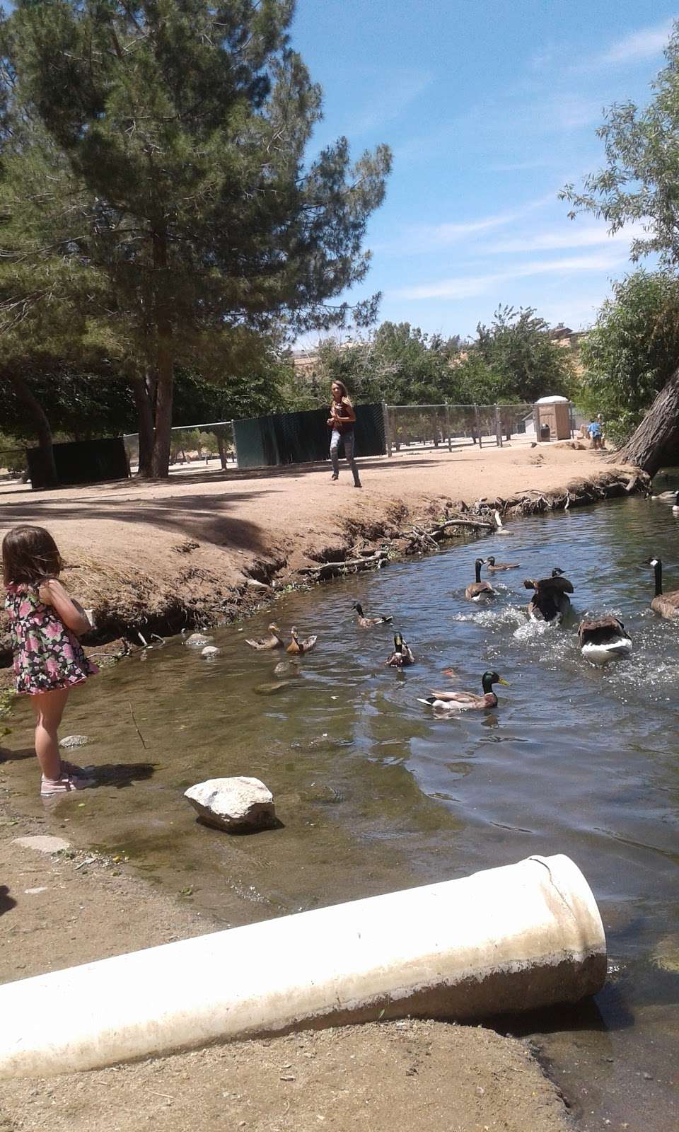 Hesperia Lake Park | 7546, 7500 Arrowhead Lake Rd, Hesperia, CA 92345, USA | Phone: (760) 244-5951