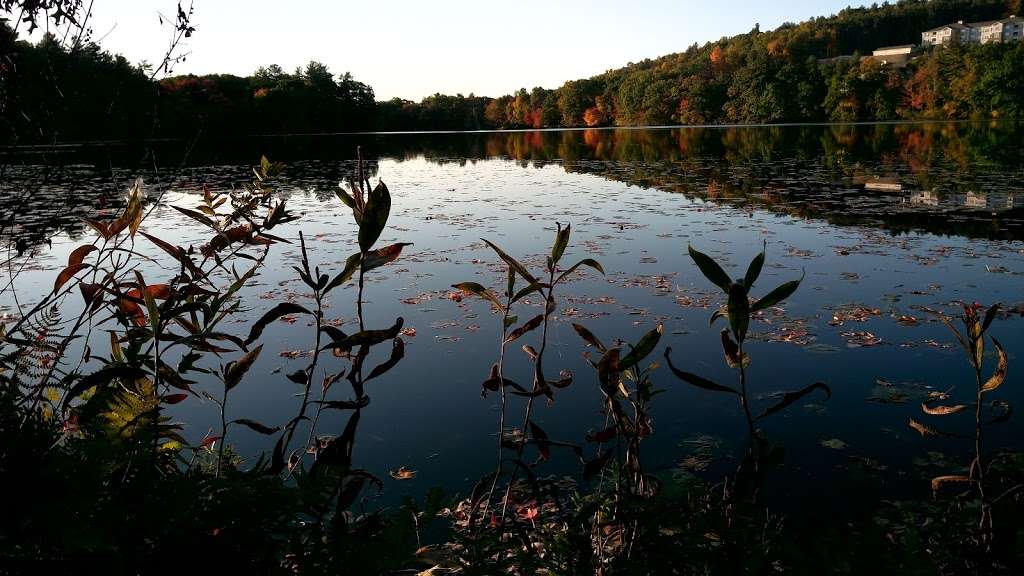 Ames Pond Corp Park | Tewksbury, MA 01876, USA