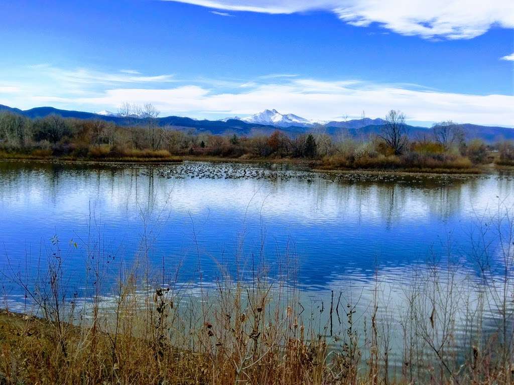 Golden Ponds Park | 2651 3rd Ave, Longmont, CO 80503 | Phone: (303) 651-8418