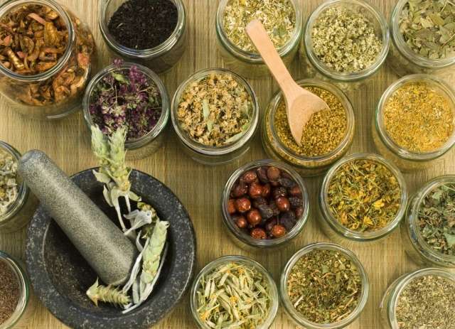 Herbs Of The Forest | 1327 W 127th St, Los Angeles, CA 90044, USA | Phone: (888) 619-4372