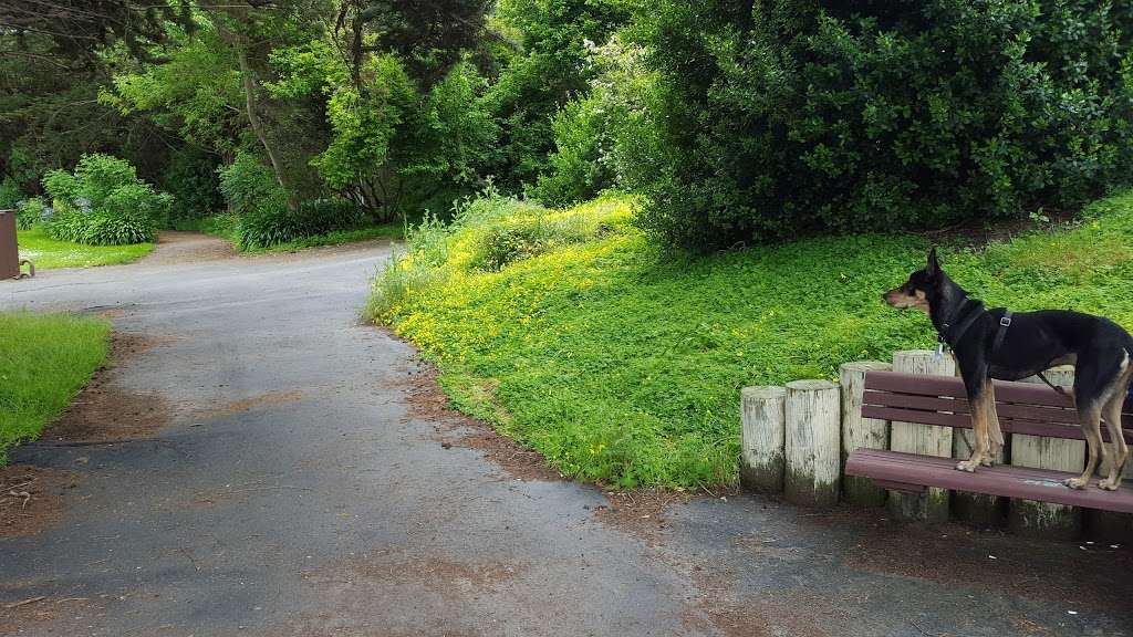 Horseshoe Park | 101 Seawall Dr, Berkeley, CA 94710, USA | Phone: (510) 981-6731