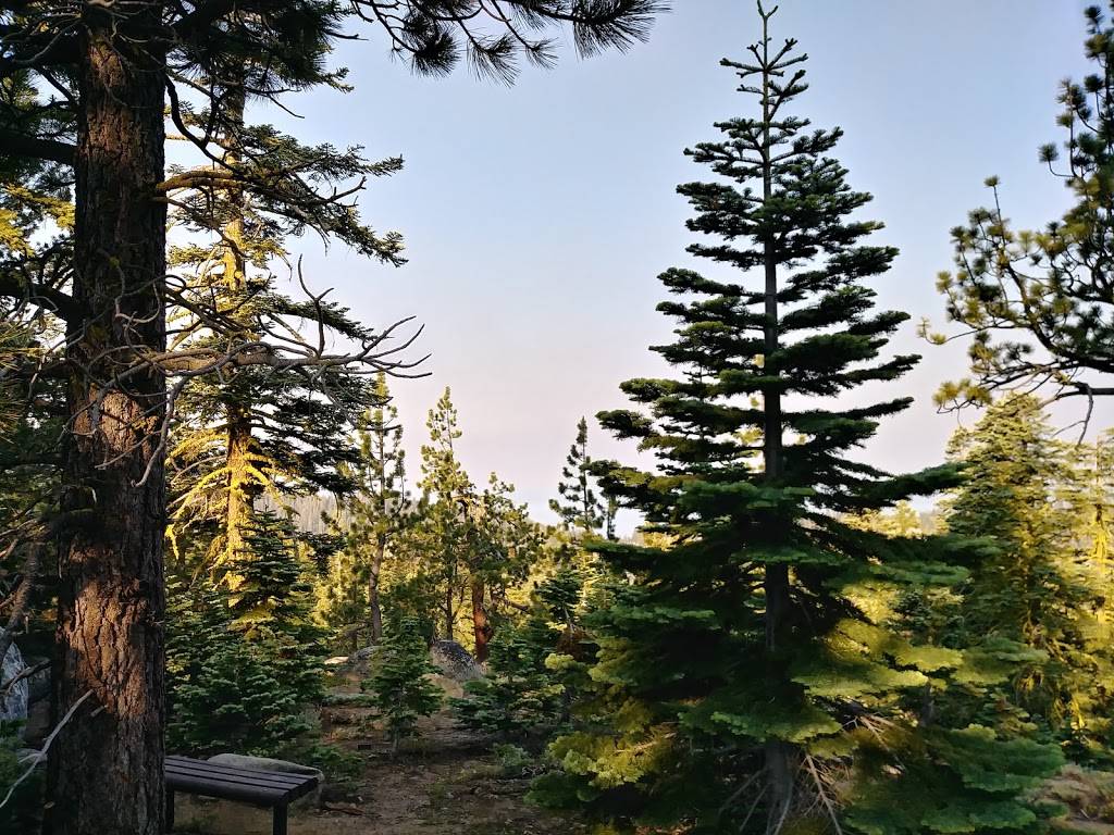 Tahoe Rim Trail | Tahoe Rim Trail, Incline Village, NV 89451, USA | Phone: (775) 298-4485