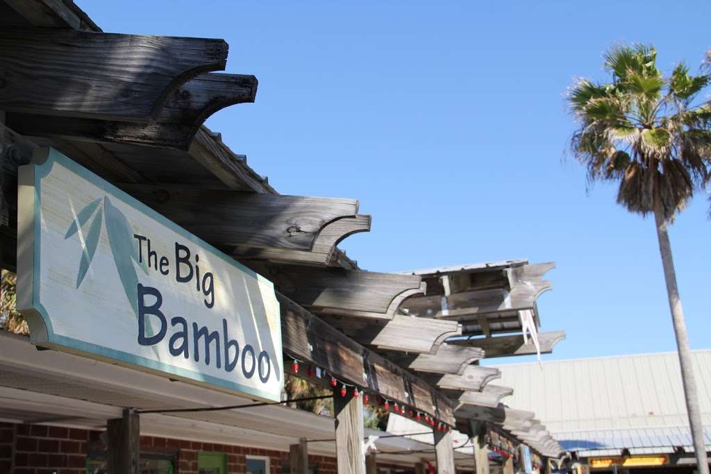 The Big Bamboo | 504 Flagler Ave # C, New Smyrna Beach, FL 32169 | Phone: (386) 426-0022