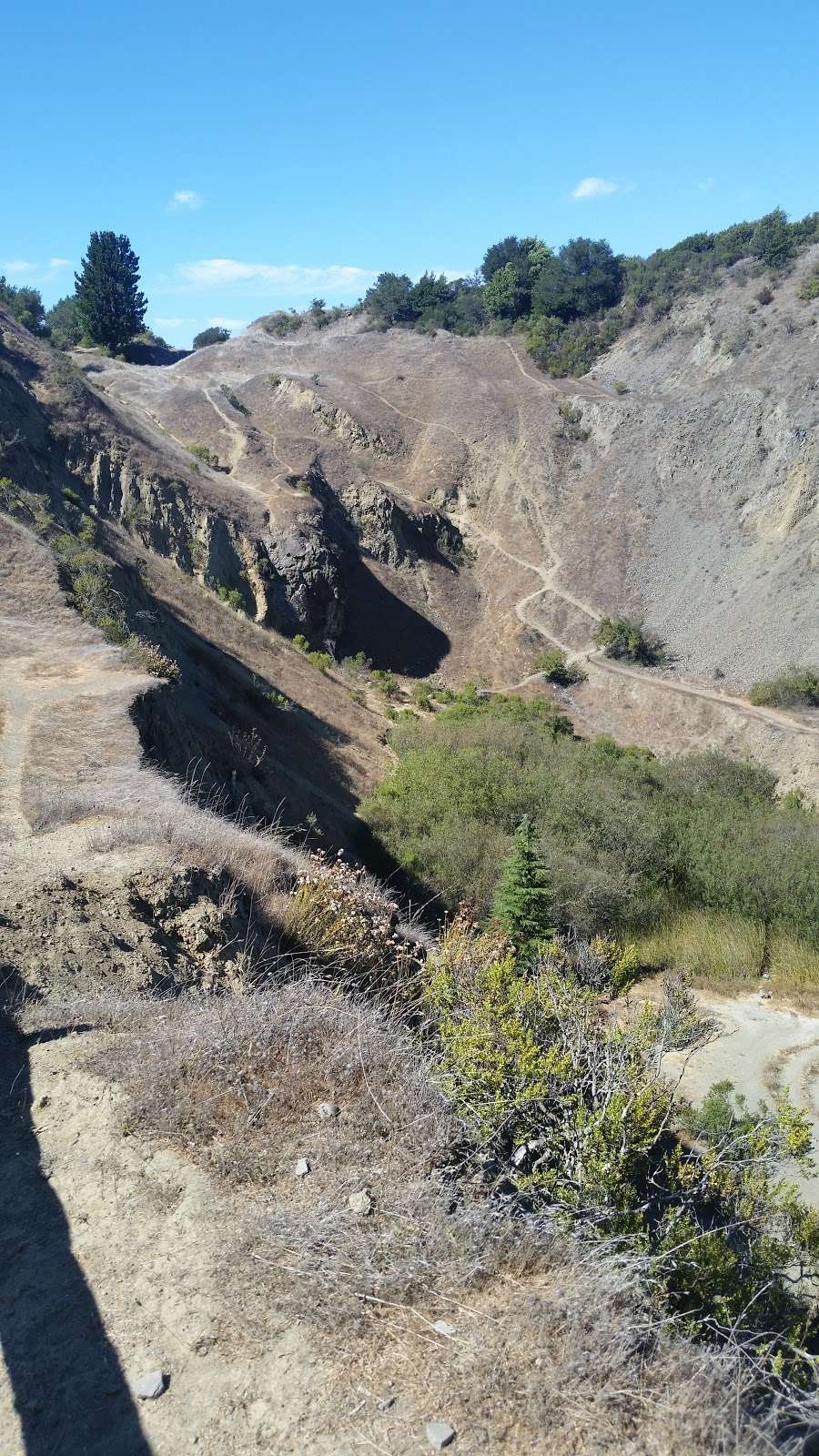 Sibley Volcanic Regional Preserve Labyrinth | Orinda, CA 94563