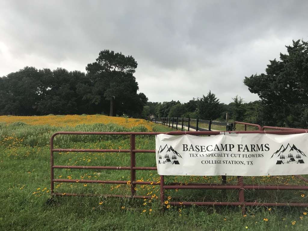 Basecamp Farms | 23683 Ward Rd, Navasota, TX 77868