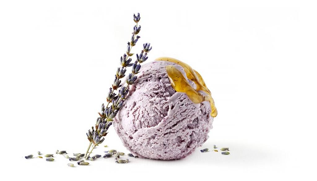 Nature’s Organic Ice Cream | 37597 Niles Blvd, Fremont, CA 94536, USA | Phone: (510) 894-4455