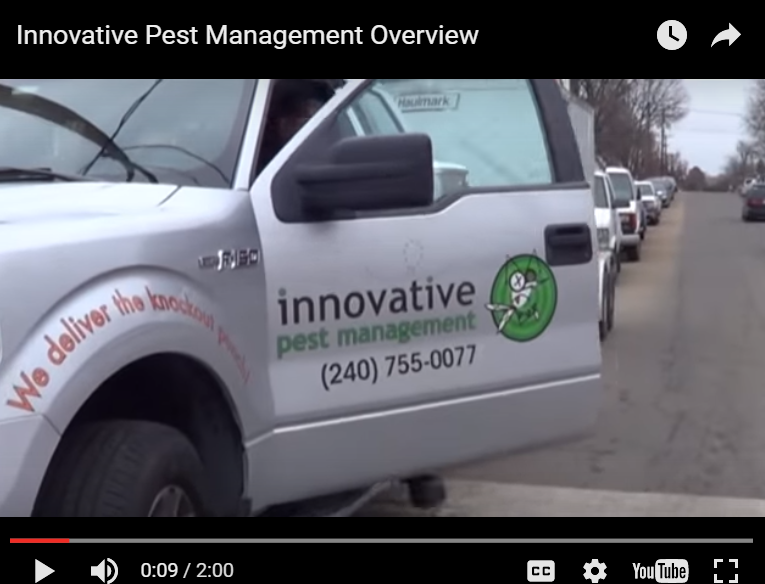 Innovative Pest Management | 12240 Indian Creek Ct Suite #140, Beltsville, MD 20705, USA | Phone: (240) 755-0077