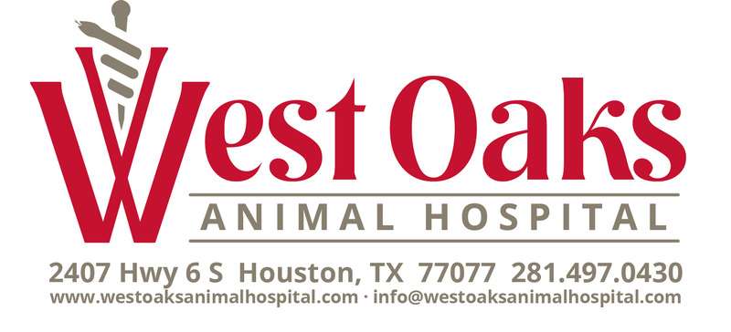 West Oaks Animal Hospital | 2407 S Texas 6, Houston, TX 77077, USA | Phone: (281) 497-0430