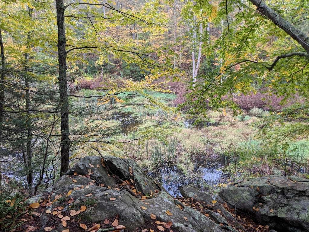 Forty Caves | Berlin, MA 01503, USA