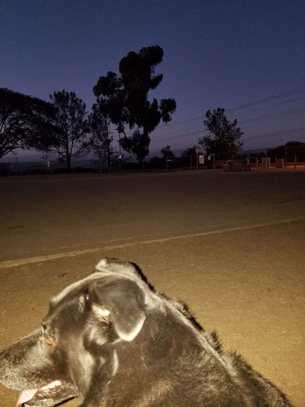 Torrey Pines Dog Park | San Diego, CA 92130