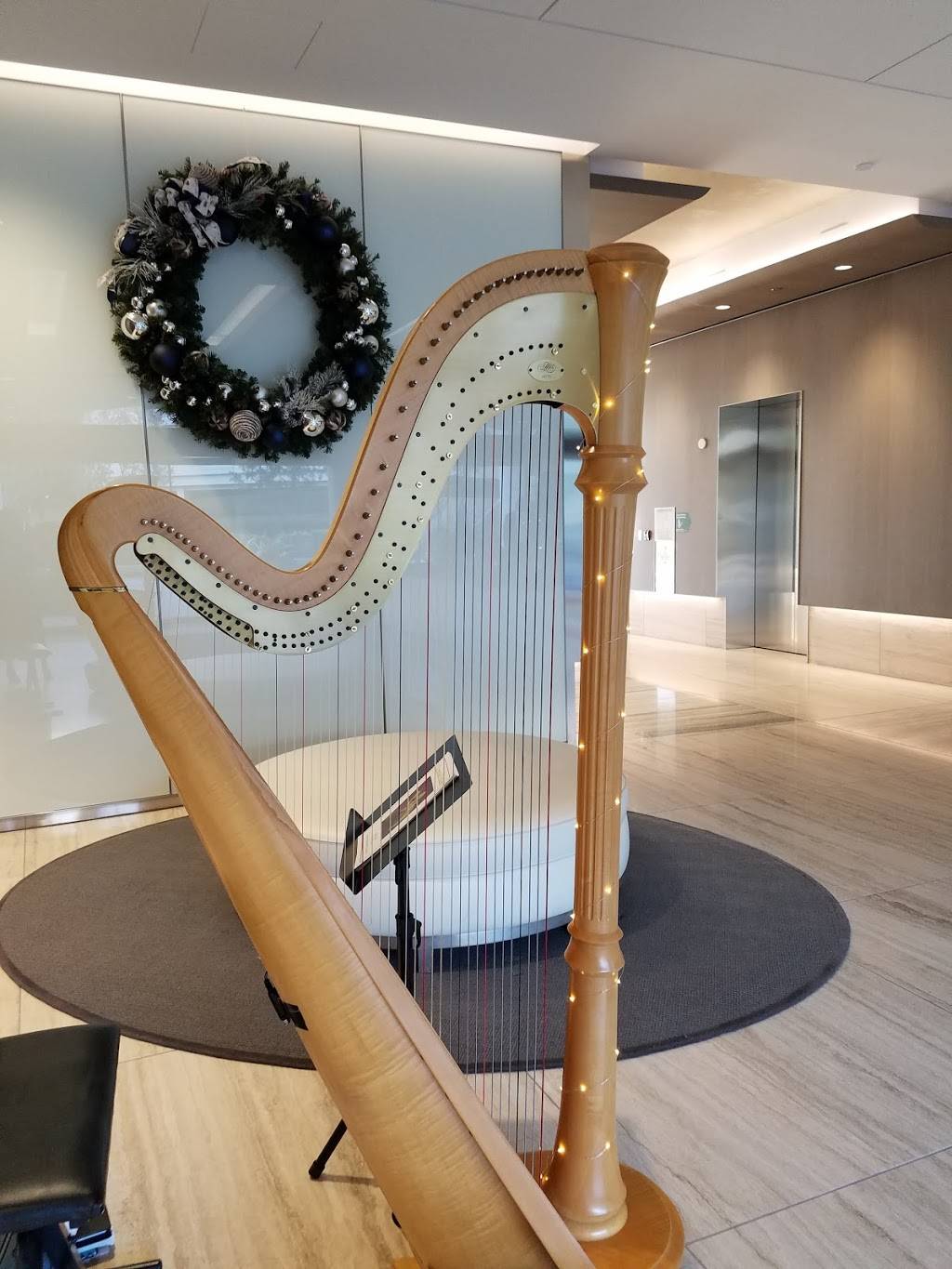 Harpist/Harp Teacher in OC/LA Tomoko Sato | 3131 Michelson Dr, Irvine, CA 92612, USA | Phone: (949) 285-1752