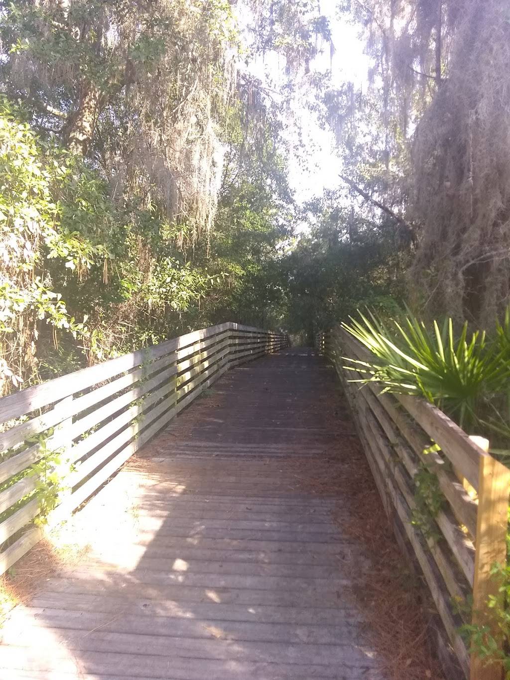 Rhodine Scrub Nature Preserve | 12108 Rhodine Rd, Riverview, FL 33579, USA | Phone: (813) 671-7754